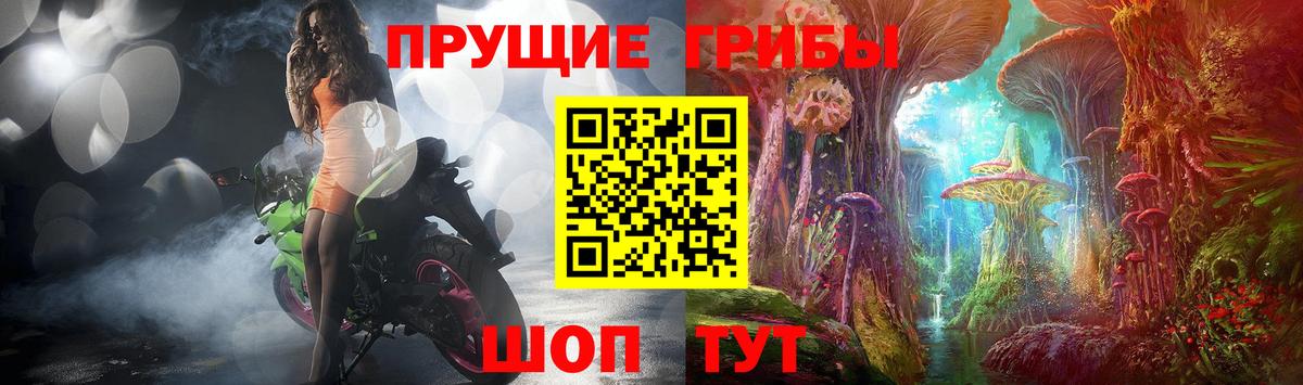 Галлюциногенные грибы Magic Shrooms  Вход с VPN  Отрадный 